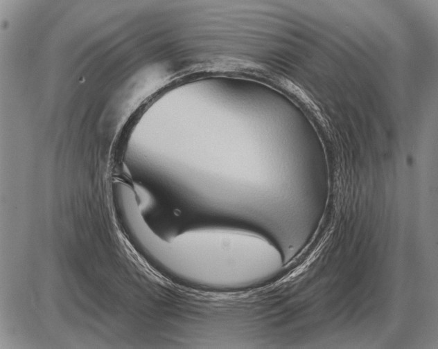 X0000085061122200703191318