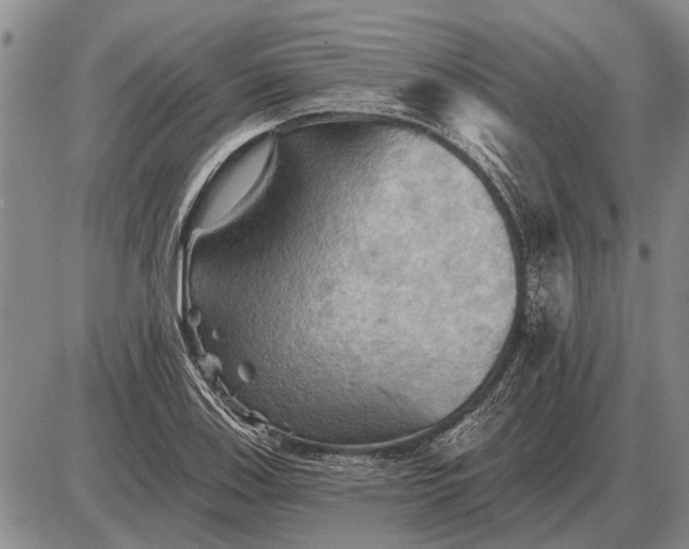 X0000085061123200703191318