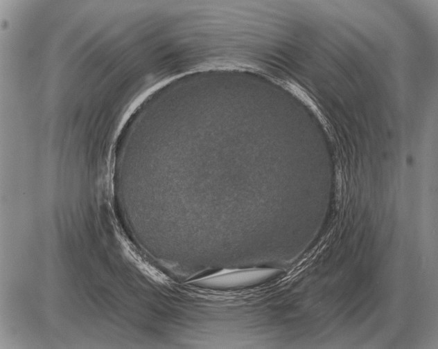 X0000085061124200703191318