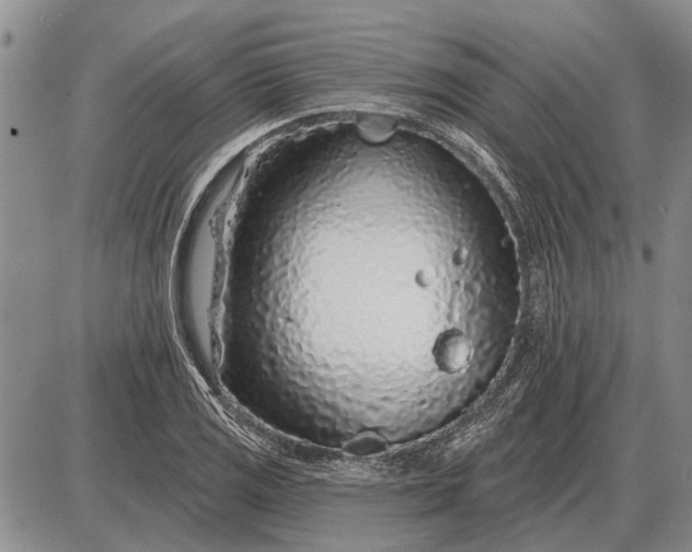 X0000085061125200703191318