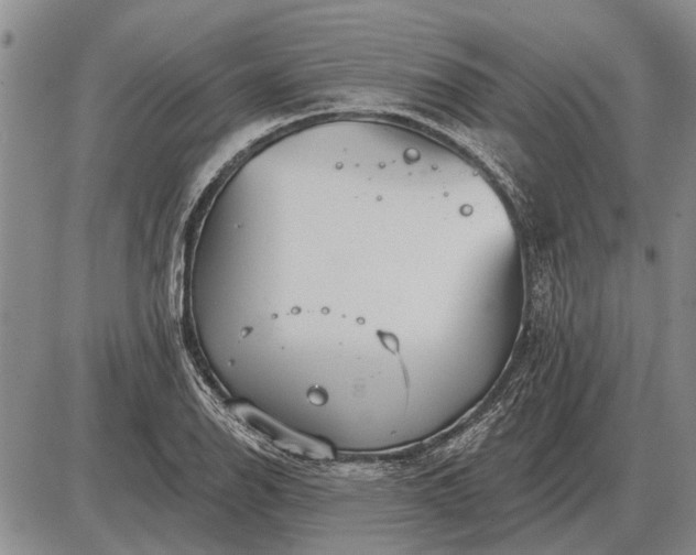 X0000085061126200703191318