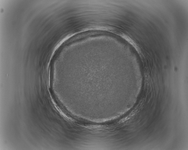 X0000085061127200703191318