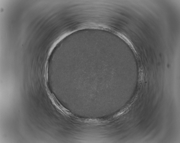 X0000085061128200703191318