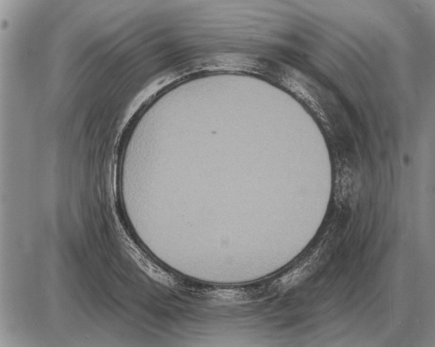 X0000085061130200703191318