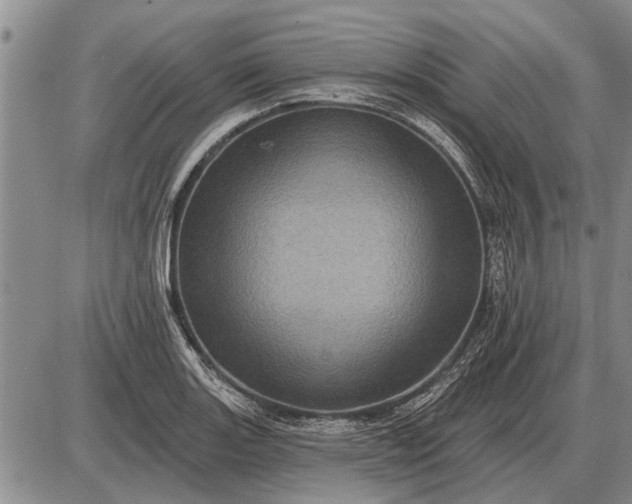 X0000085061131200703191318