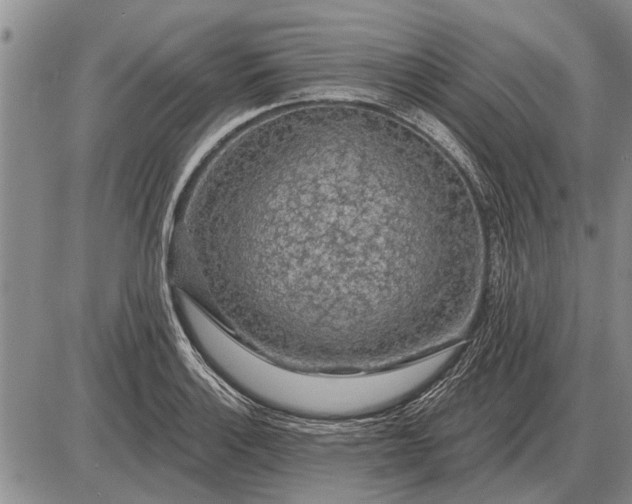 X0000085061132200703191318