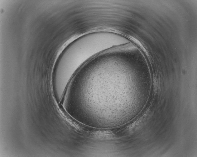 X0000085061133200703191318