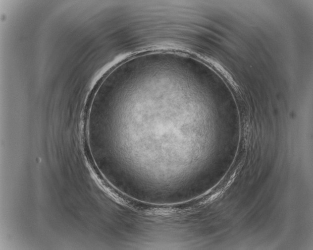 X0000085061134200703191318