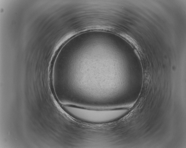 X0000085061135200703191318