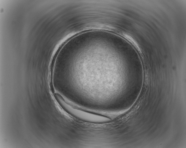 X0000085061136200703191318