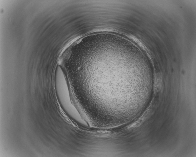 X0000085061137200703191318