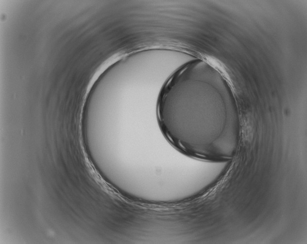 X0000085061138200703191318