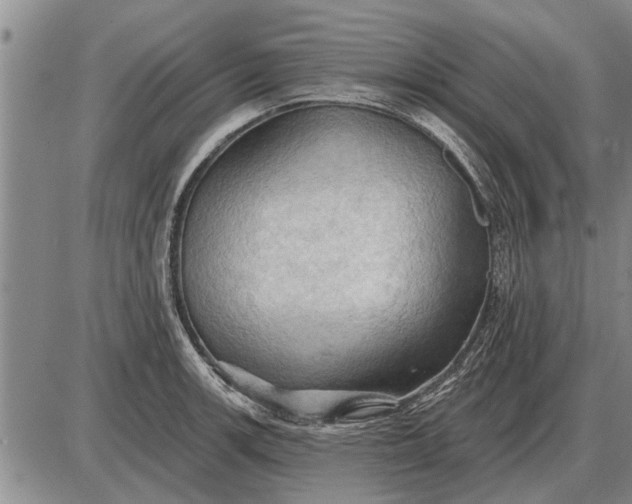 X0000085061139200703191318