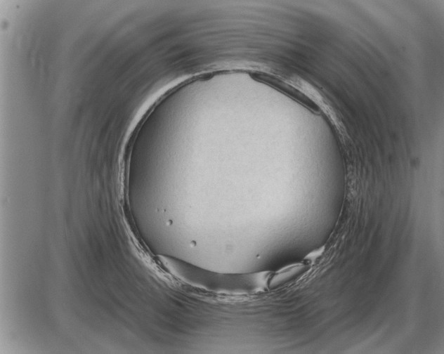 X0000085061140200703191318