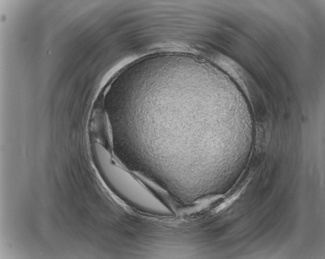 X0000085061141200703191318