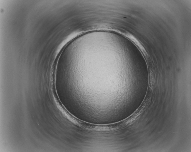 X0000085061142200703191318