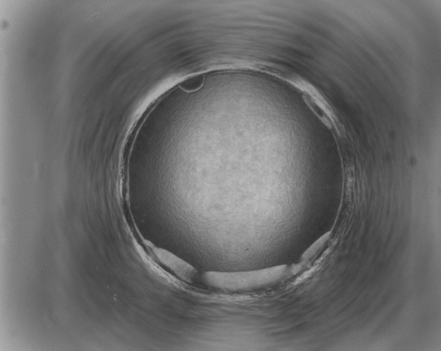 X0000085061143200703191318