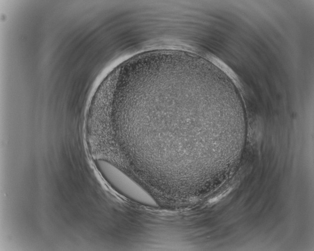 X0000085061144200703191318