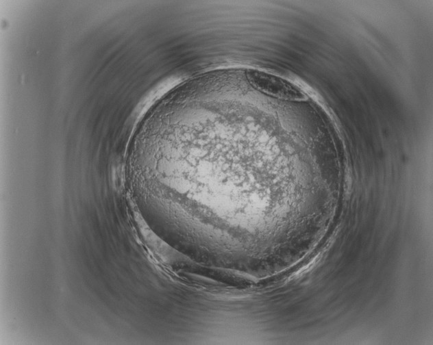 X0000085061145200703191318