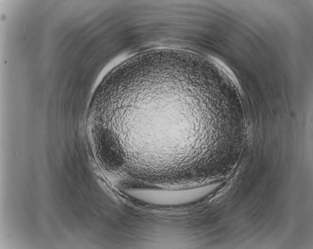 X0000085061146200703191318