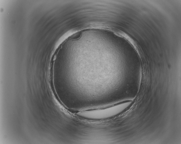 X0000085061147200703191318