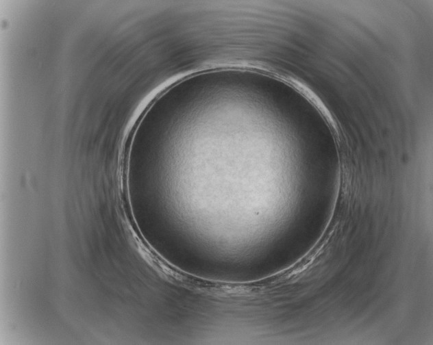 X0000085061148200703191318