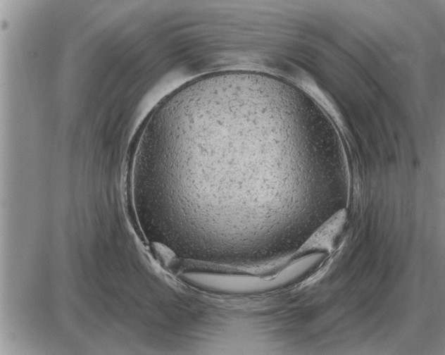 X0000085061149200703191318