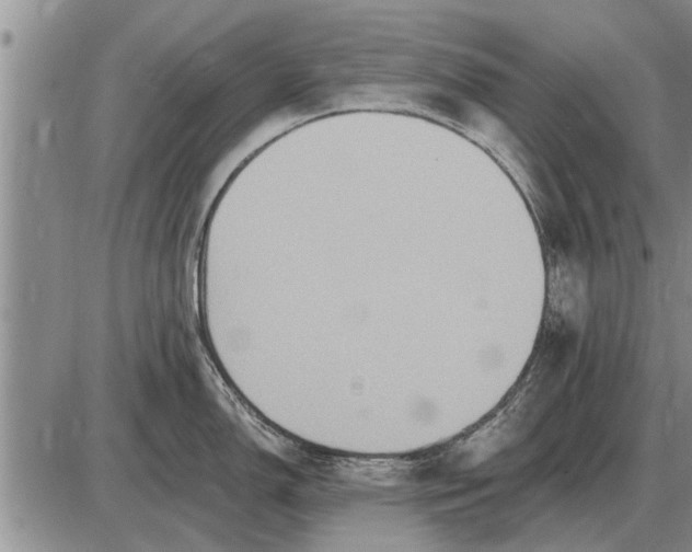 X0000085061150200703191318