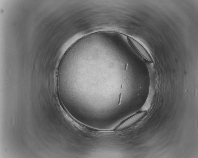 X0000085061151200703191318