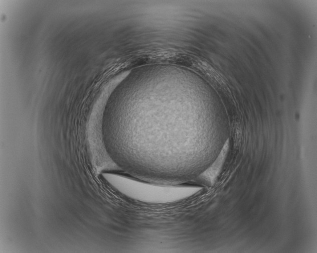 X0000085061153200703191317