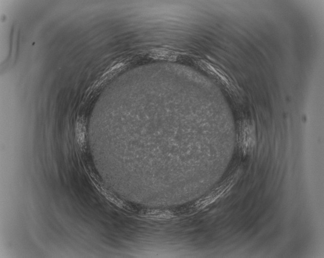 X0000085061154200703191317