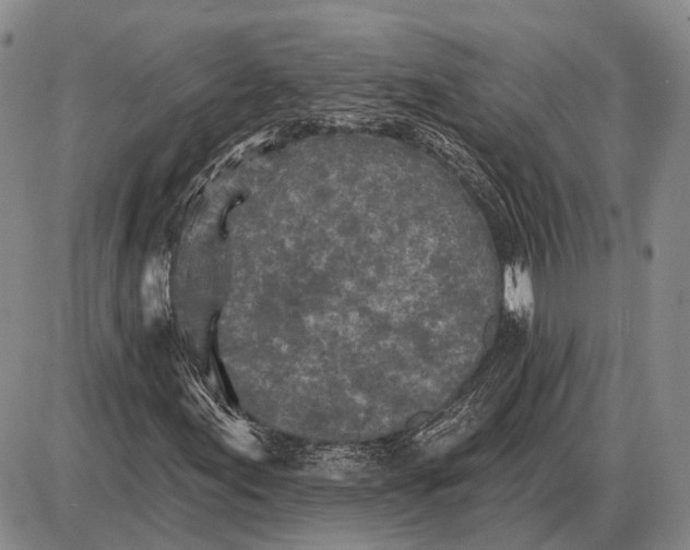 X0000085061155200703191317