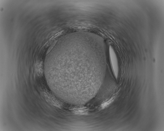 X0000085061156200703191317