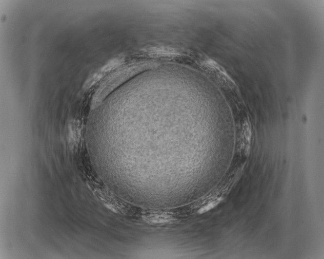 X0000085061157200703191317