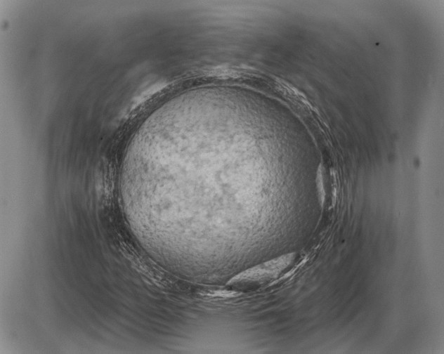 X0000085061158200703191317