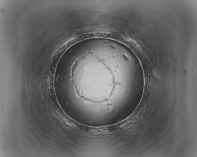 X0000085061159200703191317