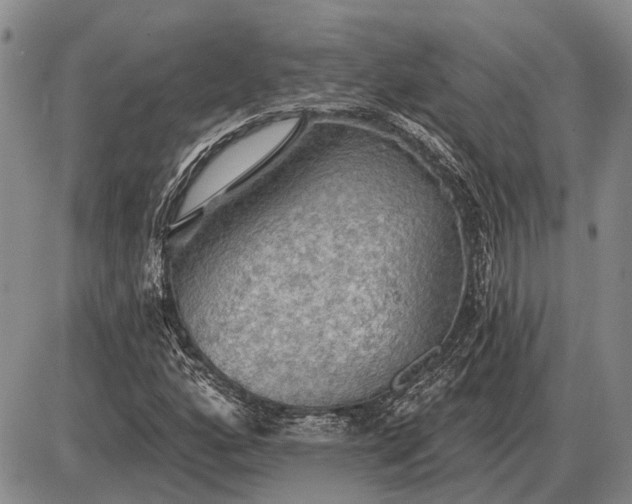 X0000085061160200703191317