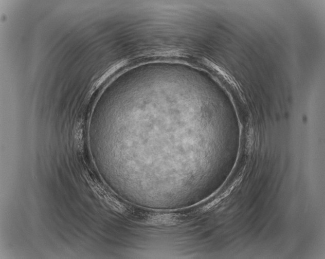 X0000085061162200703191317