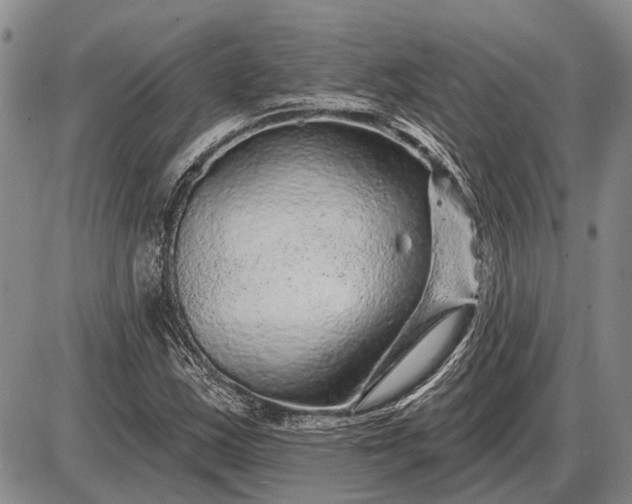 X0000085061163200703191317