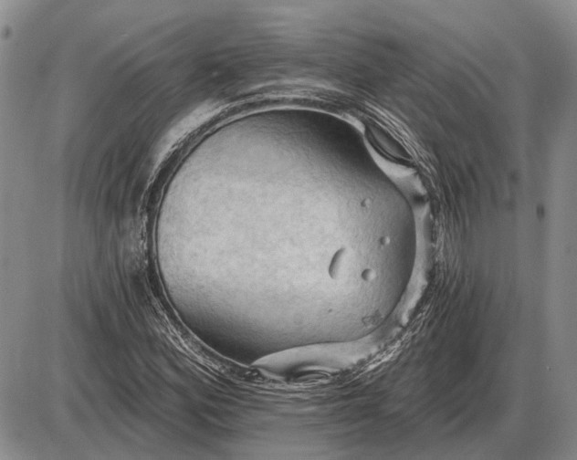 X0000085061164200703191317