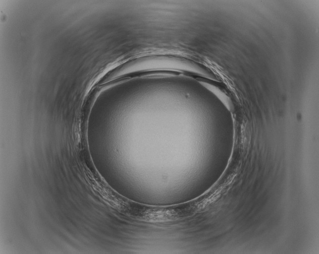 X0000085061165200703191317