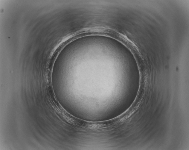 X0000085061166200703191317