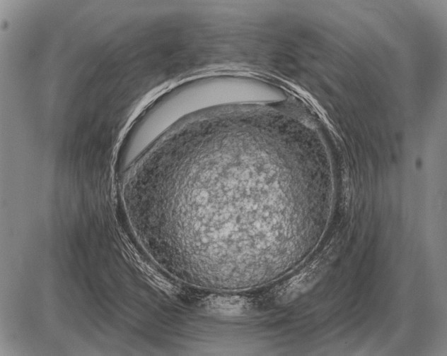 X0000085061168200703191317