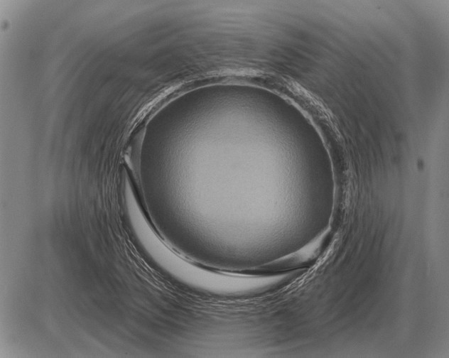 X0000085061169200703191317