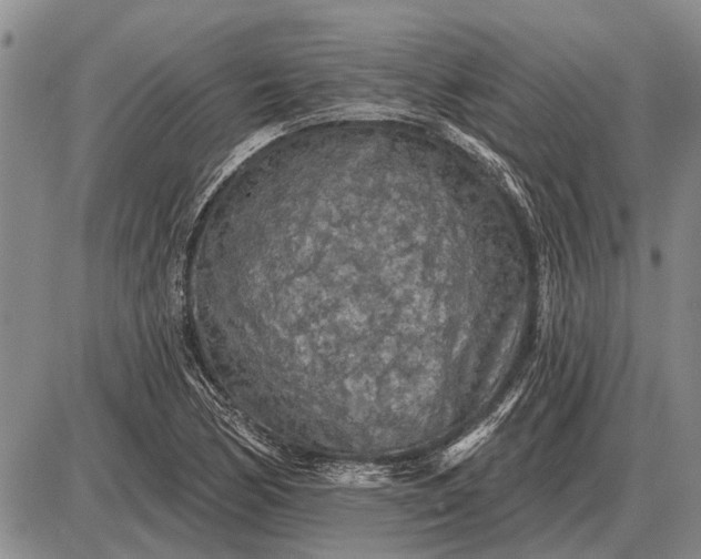 X0000085061170200703191317