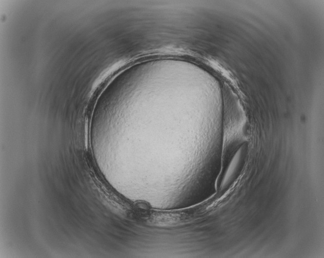 X0000085061171200703191317