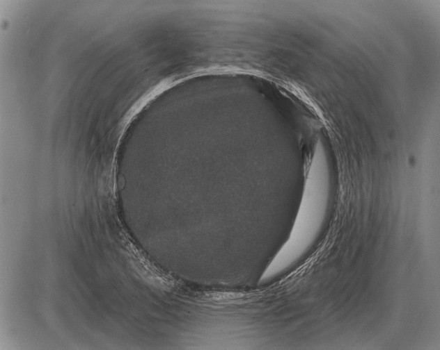 X0000085061173200703191317