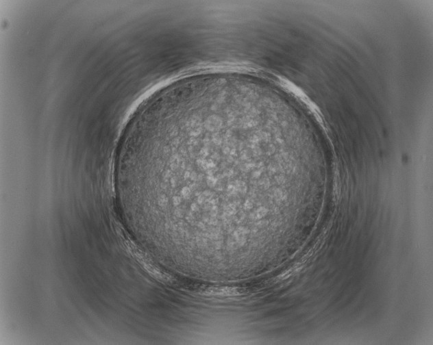 X0000085061174200703191317