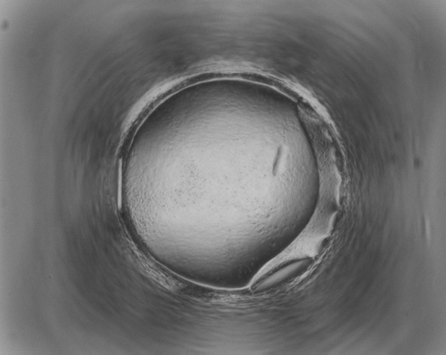 X0000085061175200703191317