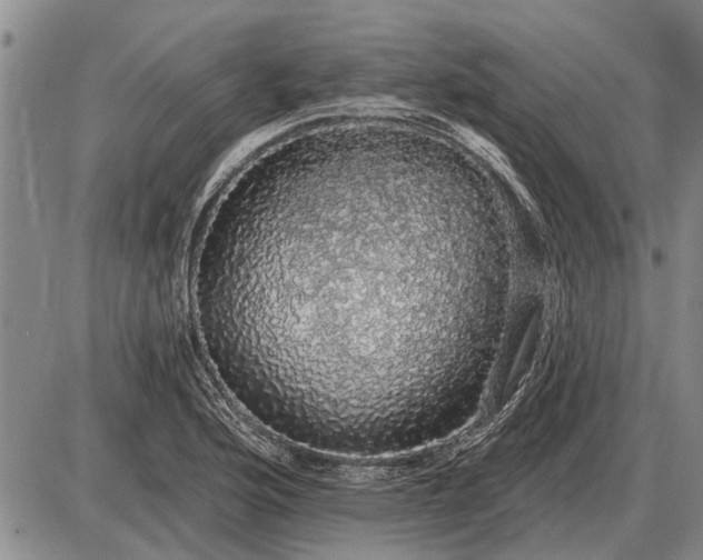 X0000085061176200703191317